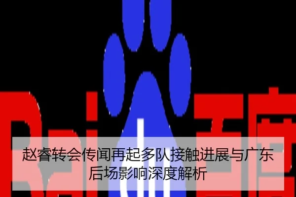 赵睿转会传闻再起多队接触进展与广东后场影响深度解析