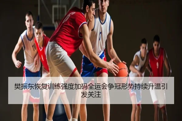 樊振东恢复训练强度加码全运会争冠形势持续升温引发关注